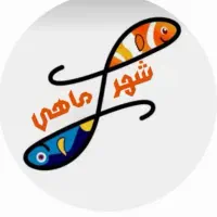 شیشه خم شرکتی .م