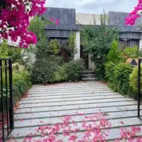 ویلاگل-کاغذی-سندتکبرگ-شمال-نور-باسند-تک-برگ