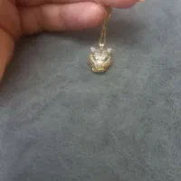 پلاک پنتر