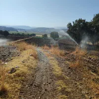 اجاره زمین کشاورزی|اجارهٔ دفتر صنعتی، کشاورزی، تجاری|شاهیوند, |دیوار