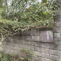 پرستار سالمند خانوم