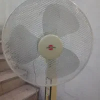 پنکه پاری خزر سالم