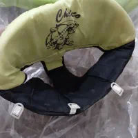 روروئک|کالسکه و لوازم جانبی|گنبد کاووس, |دیوار