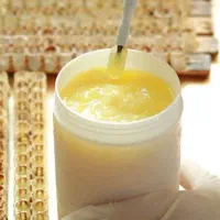 حراج ژل رویال|حراج|تبریز, |دیوار