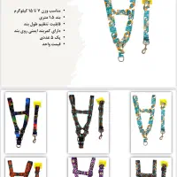 قلاده سگ و گربه|لوازم جانبی حیوانات|تهران, بازار|دیوار