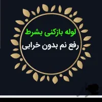 لوله بازکنی ورفع نم وبو ضمانتی کل مشهدعضو اتحادیه