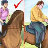 آموزش صفر تاصد سوارکاری به صورت حرفه ای۱۰۰٪ تضمینی|اسب و تجهیزات اسبسواری|تبریز, |دیوار