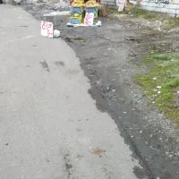 موزحراج ۱۰۰ تومان