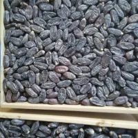 خرما درجه یک مضافتی به قیمت عالی|خوردنی و آشامیدنی|بمپور, |دیوار