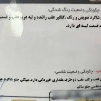 فروش فوری ۲۰۶ اس دی v8|خودرو سواری و وانت|ساری, |دیوار