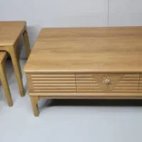 تولیدی حسنی