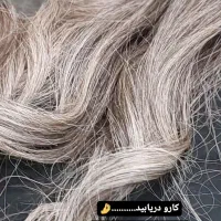 آموزش کامل صفر تا استادی رنگ و لایت با تمامی نکات|خدمات آموزشی|کرج, حصارک پایین|دیوار