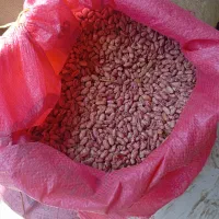 لوبیا چیتی