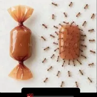 مسیر درست