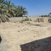 فروش باغ|فروش زمین و ملک کلنگی|سراوان, |دیوار