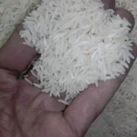 برنج طارم هاشمی //فوق العاده|خوردنی و آشامیدنی|ری, اقدسیه|دیوار