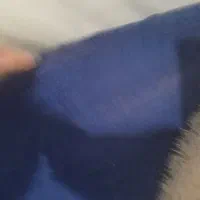 موکت و مینی بوفه