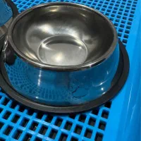 ظرف استیل سگ و گربه سایز ۲