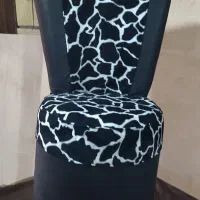 پاف وچستر فروشی