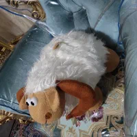 عروسک نو|اسباب‌بازی بچه|صدرا-فارس, فاز ۱|دیوار