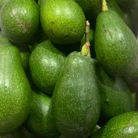 آووکادو تازه