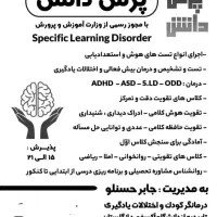 کلاس تقویتی واختلالات یادگیری .مشاوره