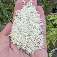 برنج|خوردنی و آشامیدنی|دامغان, |دیوار