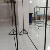 تعدادی رگال پایه دار