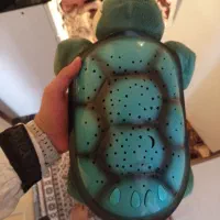 عروسک|اسباب‌بازی بچه|سنندج, |دیوار