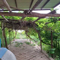 فروش مرغداری واحد تخمگذار|فروش دفتر صنعتی، کشاورزی، تجاری|کاشان, شهرک صنعتی راوند|دیوار