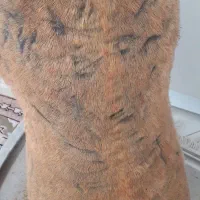 هیزه(حزول، خیک)|ظروف نگهدارنده، پلاستیکی، یکبارمصرف|ازنا, |دیوار