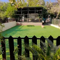 پانسیون سگ و آموزش سگ