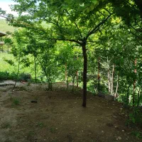 فروش منزل مسکونی در دیلمان روستای کوه پس|فروش خانه و ویلا|دیلمان, |دیوار
