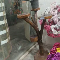 صنایع دستی چوب|مجسمه، تندیس، ماکت|ایرانشهر, |دیوار