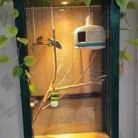 درخت بازی پرنده با طراحی جدید قفس