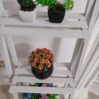 استند همراه گلدانها|گل مصنوعی|بندر انزلی, انقلاب|دیوار