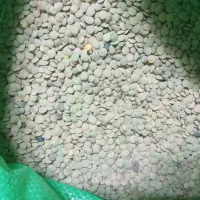 عدس