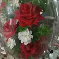 گل و قند تزیینی|گل مصنوعی|ارومیه, |دیوار