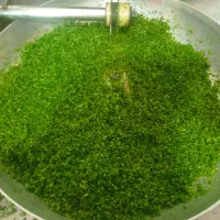 سبزی مارکت گل پونه
