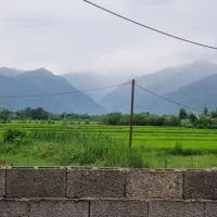 فروش-و-سرمایه-گذاری-املاک-در-گیلان