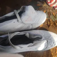 کلا 5 بار استفاده شده