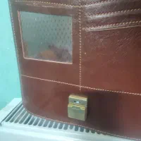 کیف چرم اصل|کیف، کفش، کمربند|نیشابور, مدرس|دیوار