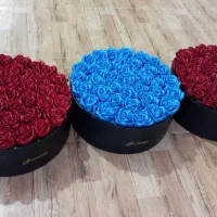 گل رز و دیوار کوب