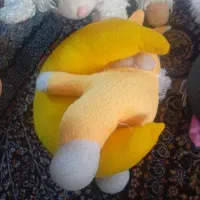 5عدد عروسک
