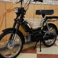 براوو سالم سرحال