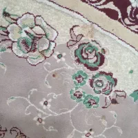 فرش ۱۲متری|فرش|قم, باغ شریفی|دیوار