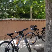 پارتنر طبیعت گردی|فعالیت داوطلبانه|شیراز, باغ تخت|دیوار