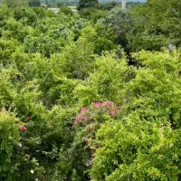 تخریب بازسازی ساخت