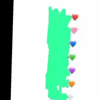 شناسنامه گم شده