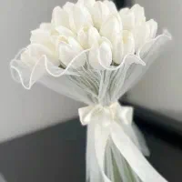 فروش شاخه نبات گل و...  ارسال به سراسر کشور